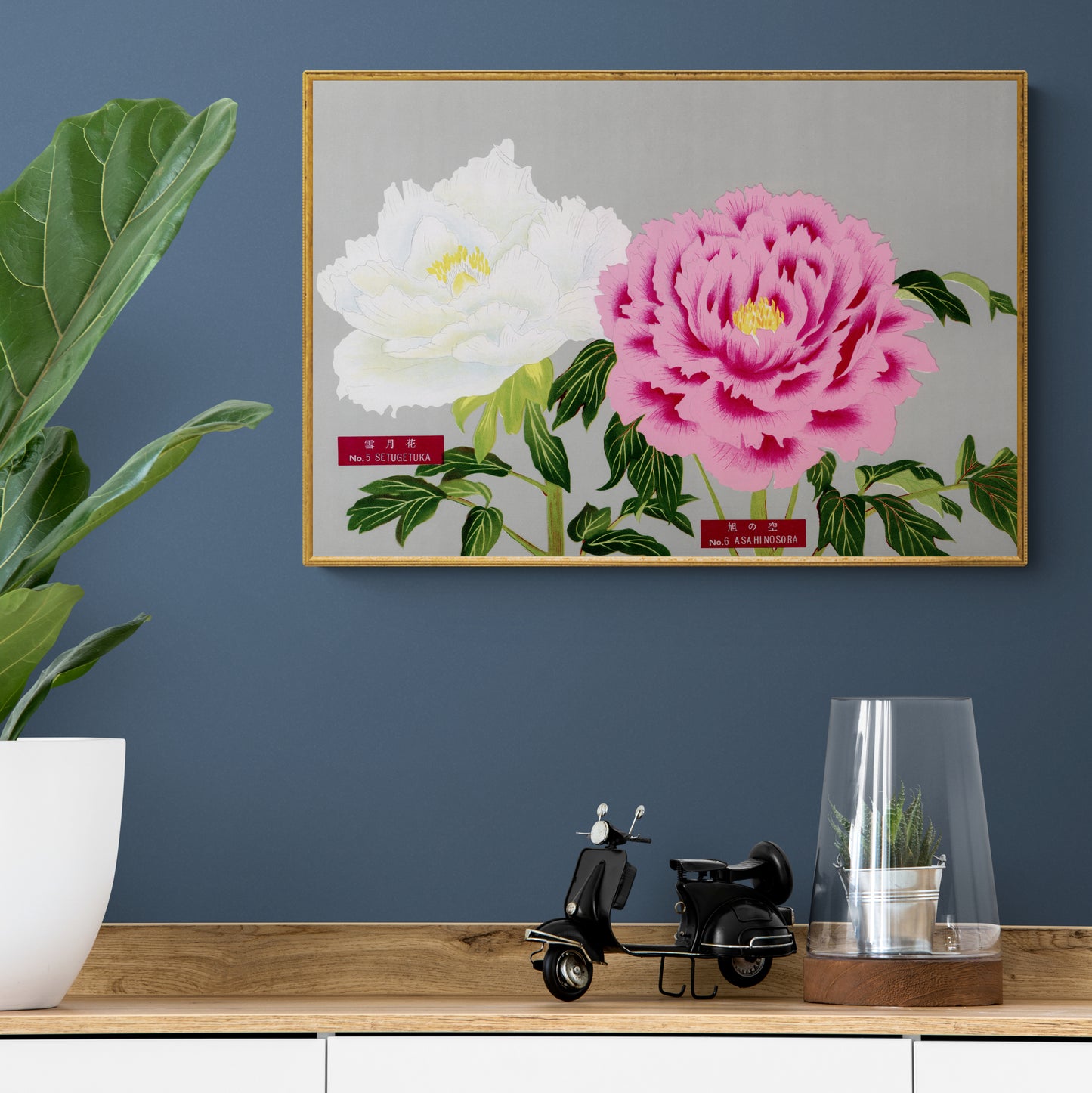 The Picture Book Of Peonies - Pink & White Peonies
