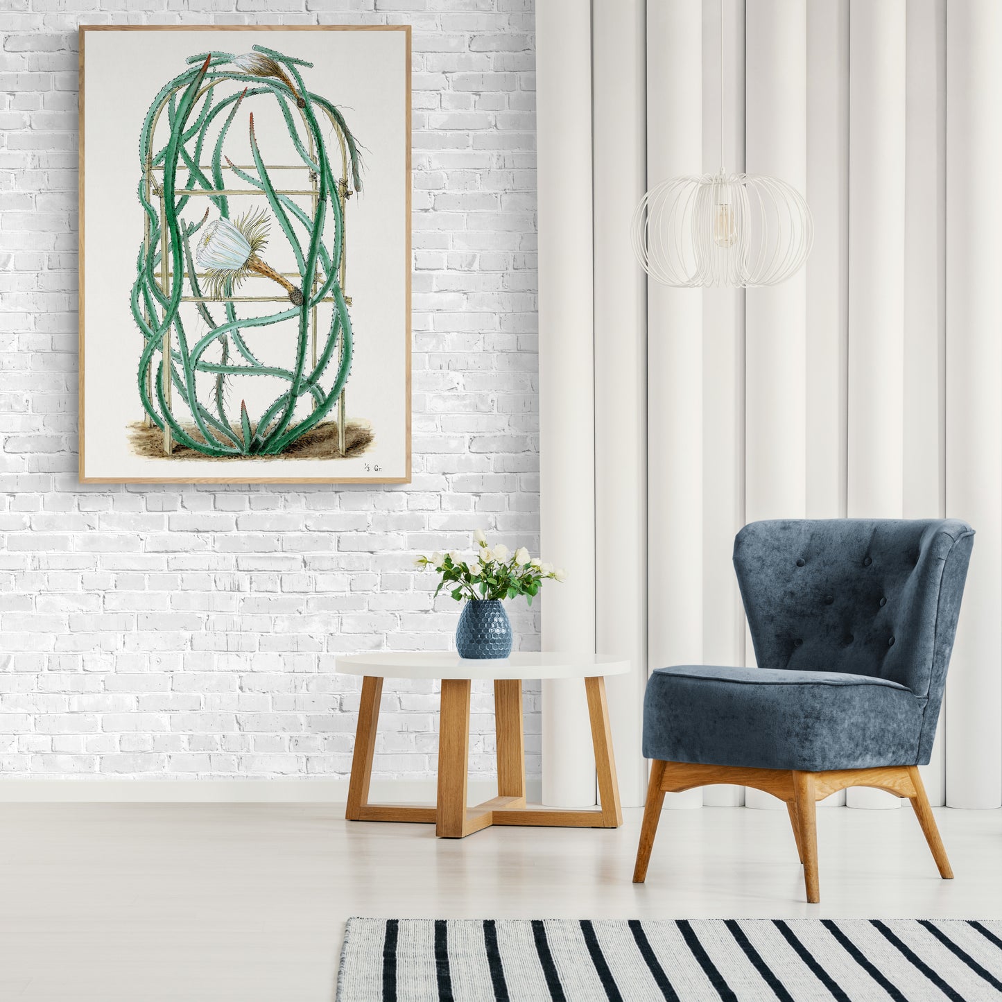 Snake Cactus from Familie Der Cacteen