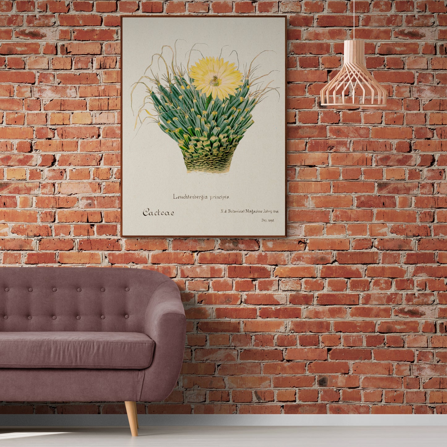 Agave Cactus from Familie Der Cacteen