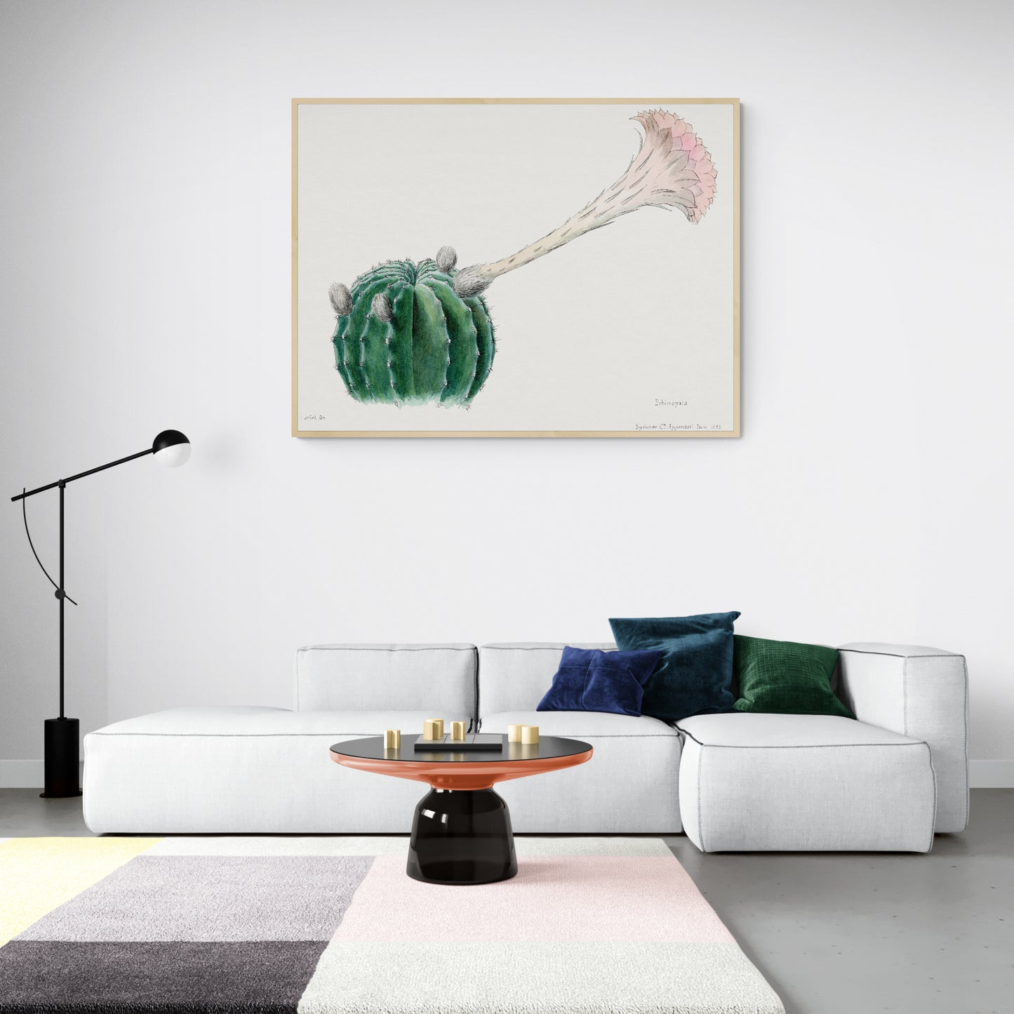 Easter Lily Cactus from Familie Der Cacteen