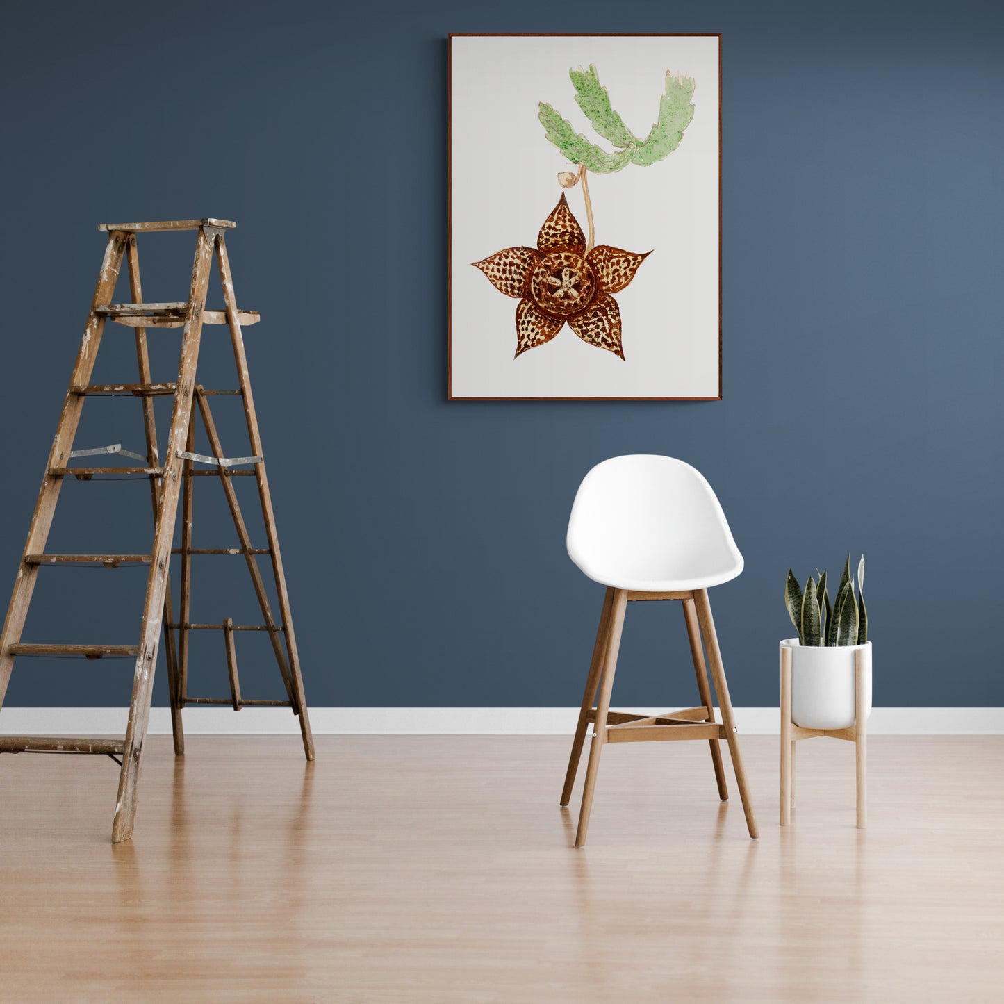 Starfish Cactus from Familie Der Cacteen