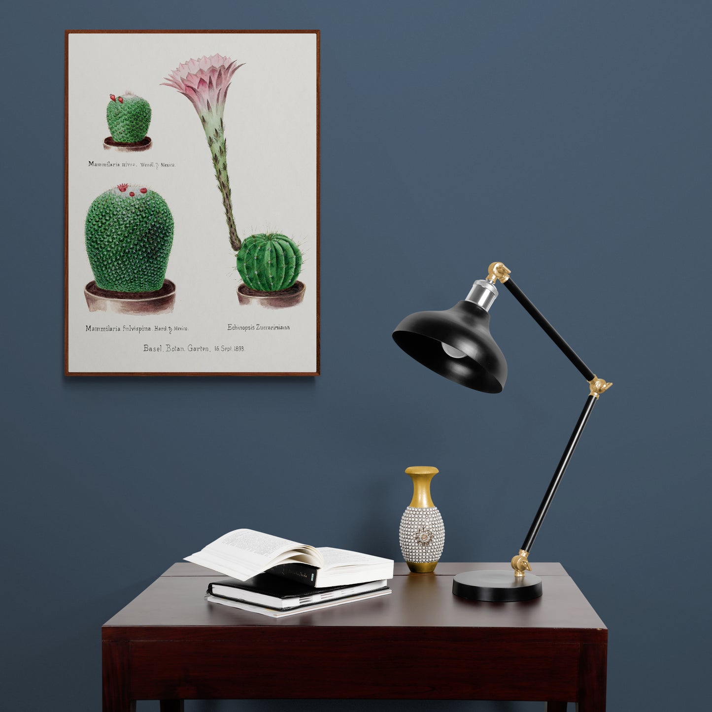 Rainbow Pincushion Cactus from Familie Der Cacteen