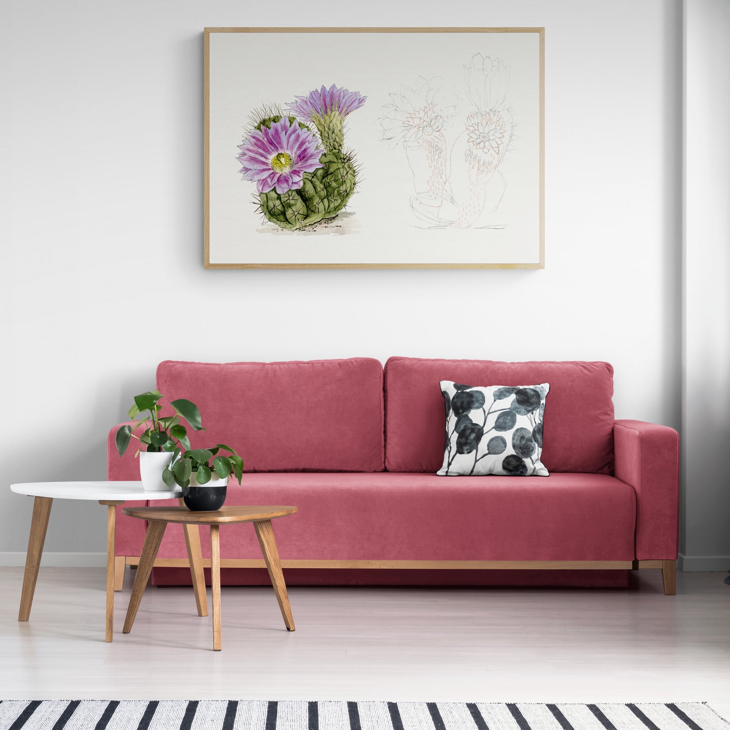 Purple Cactus from Familie Der Cacteen