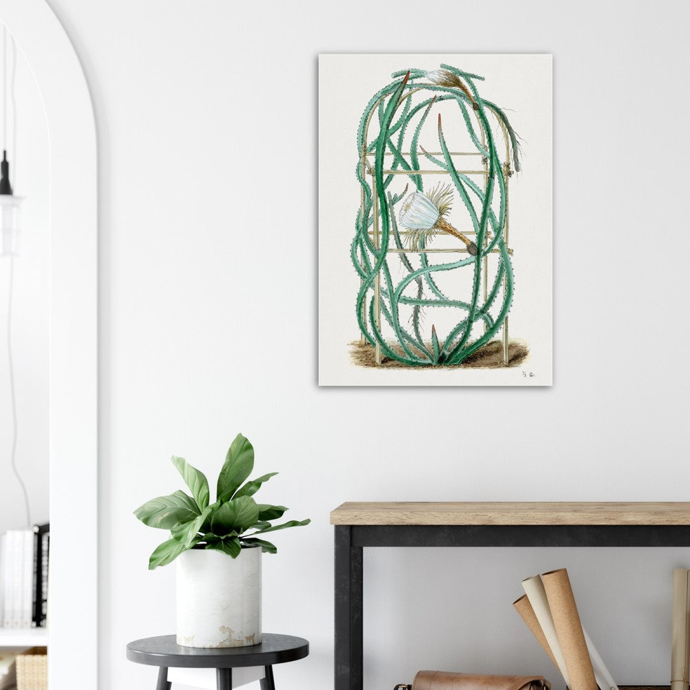 Snake Cactus from Familie Der Cacteen