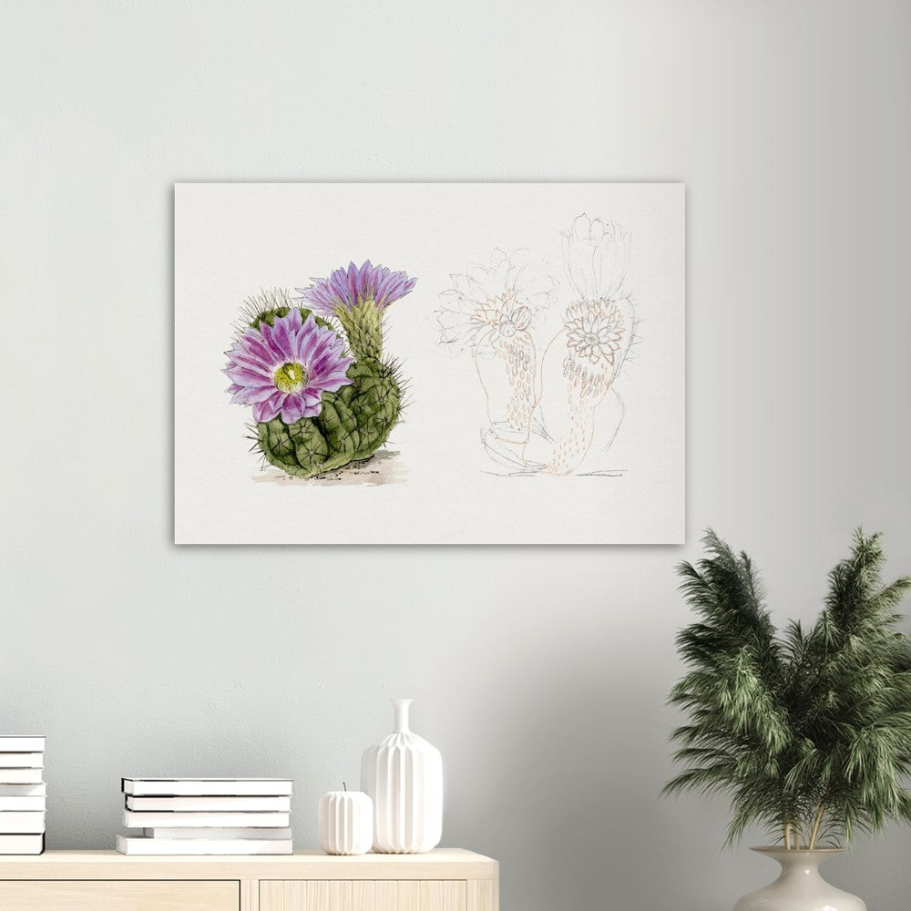 Purple Cactus from Familie Der Cacteen