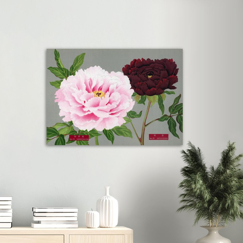 The Picture Book Of Peonies - Pink & Fuchsia Peonies