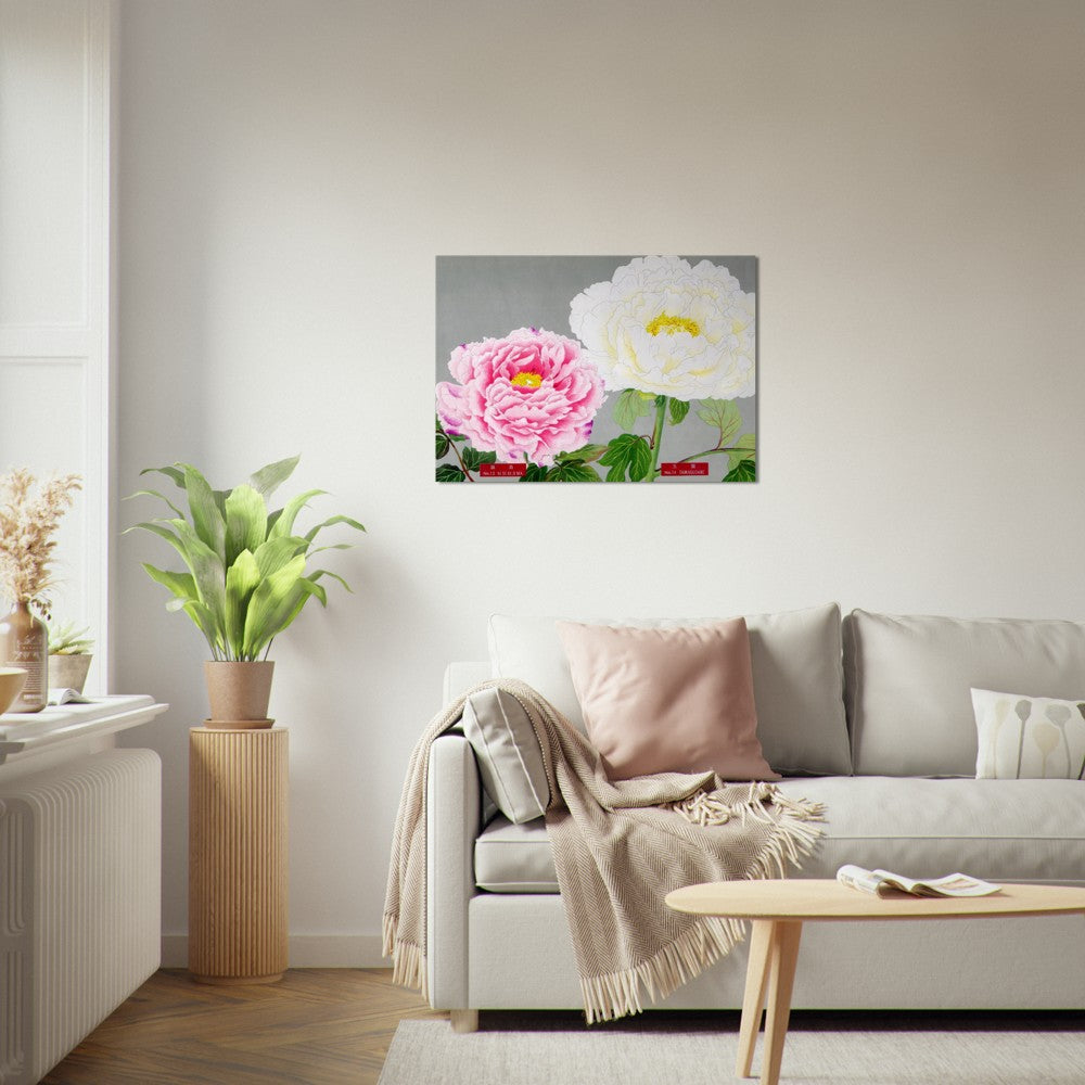 The Picture Book Of Peonies - Pink & White Peonies