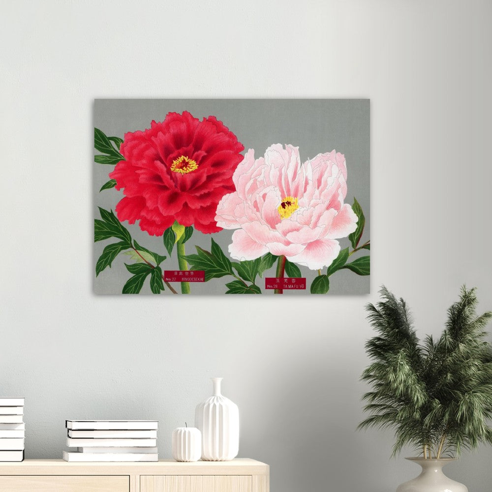 The Picture Book Of Peonies - Pink & Red Peonies
