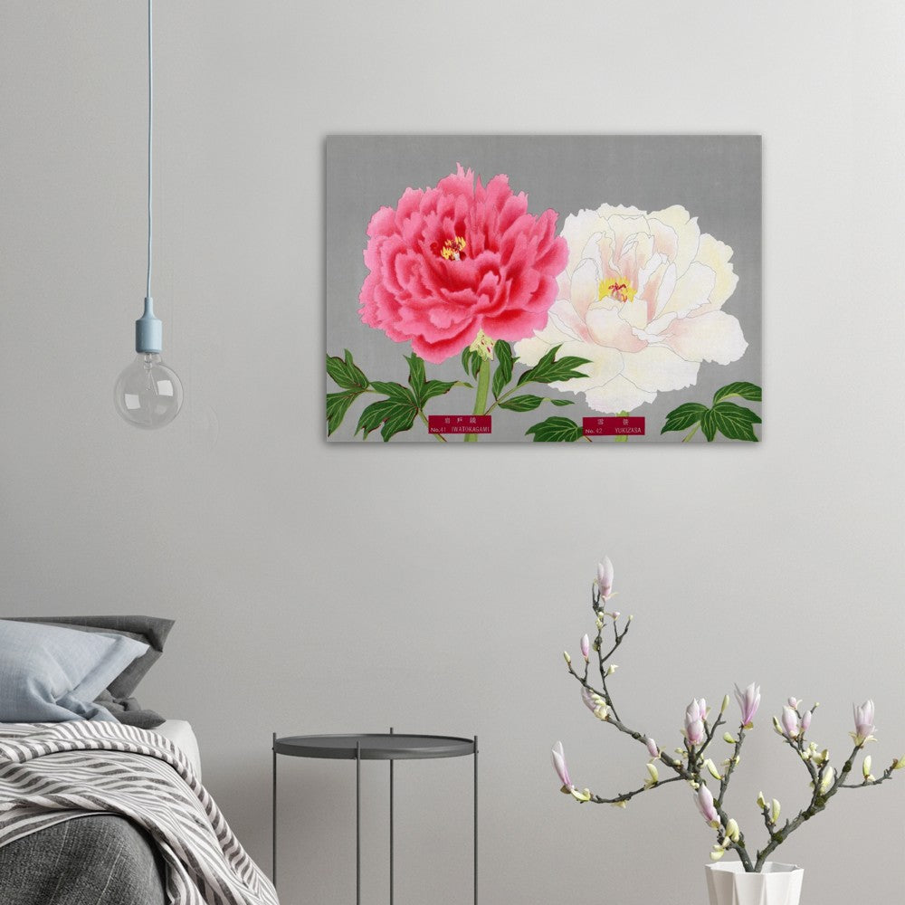 The Picture Book Of Peonies - Pink & White Peonies