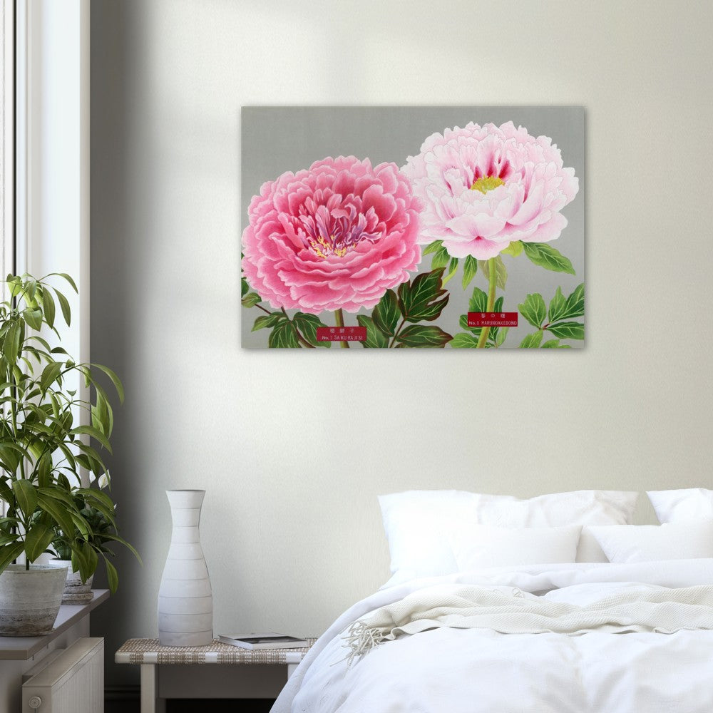 The Picture Book Of Peonies - Pink Peonies