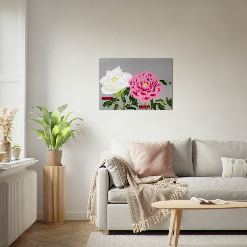 The Picture Book Of Peonies - Pink & White Peonies