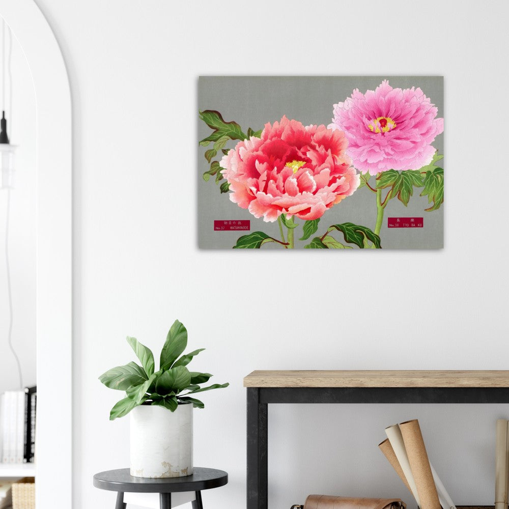 The Picture Book Of Peonies - Pink & Red Peonies