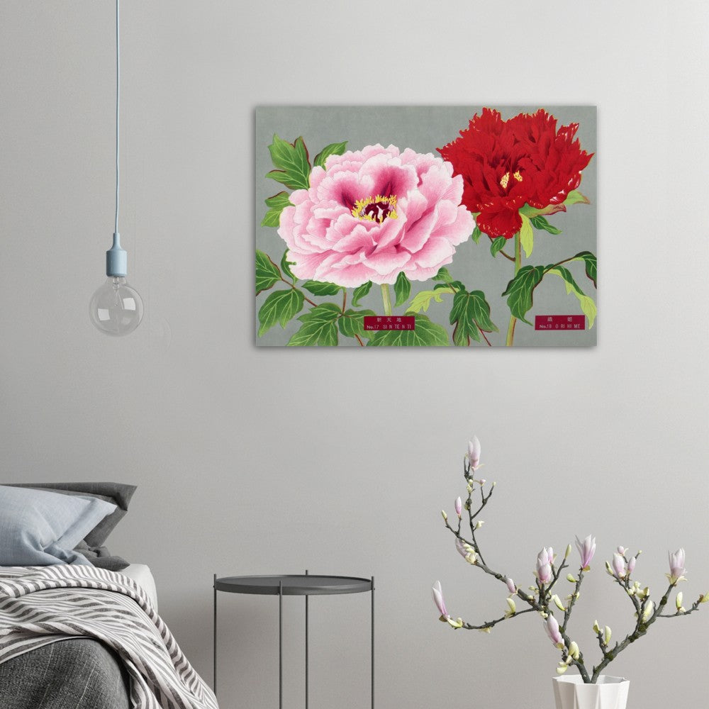 The Picture Book Of Peonies - Pink & Red Peonies