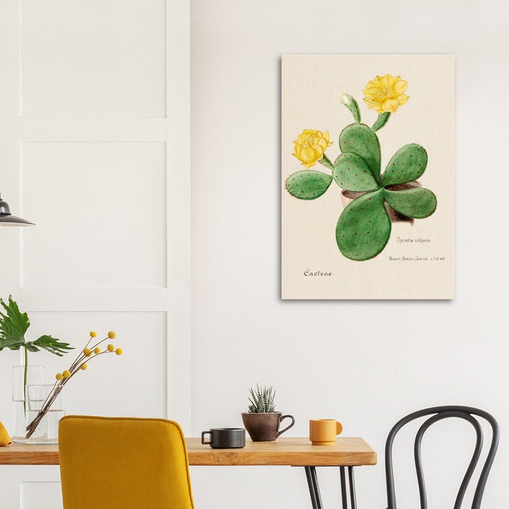 Eastern Prickly Pear Cactus from Familie Der Cacteen