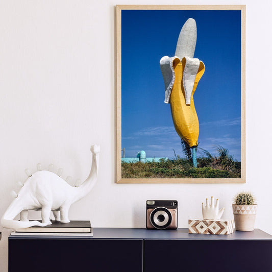Banana Water Slide Statue , Virginia by John Margolies