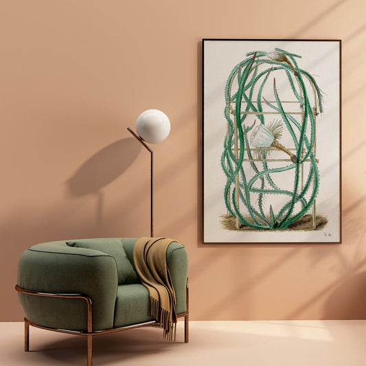 Snake Cactus from Familie Der Cacteen