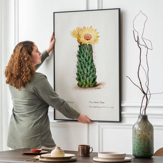 Beehive Der Cacteen from Familie Der Cacteen