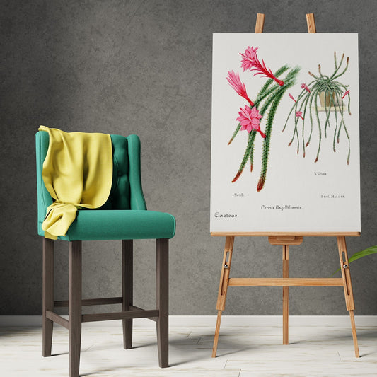 Rattail Cactus from Familie Der Cacteen