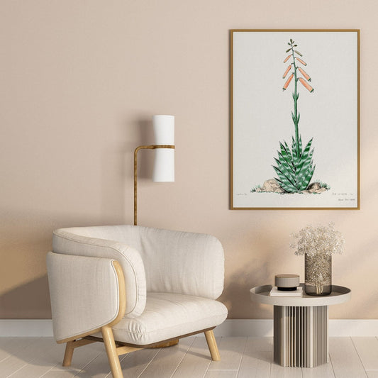 Aloevera from Familie Der Cacteen