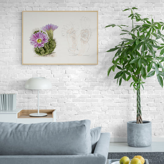 Purple Cactus from Familie Der Cacteen