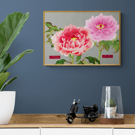 The Picture Book Of Peonies - Pink & Red Peonies