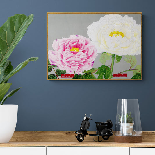 The Picture Book Of Peonies - Pink & White Peonies