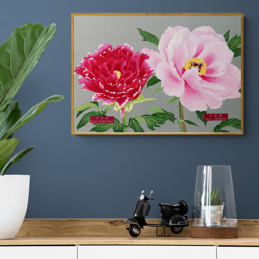 The Picture Book Of Peonies - Pink & Red Peonies