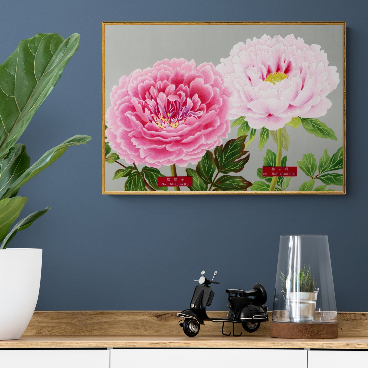 The Picture Book Of Peonies - Pink Peonies