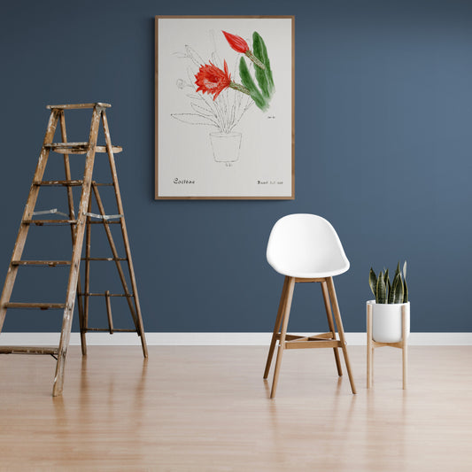 Orchid Cactus from Familie Der Cacteen