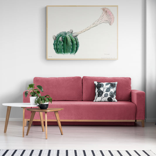 Easter Lily Cactus from Familie Der Cacteen