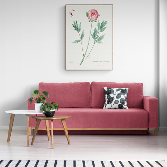 Moutan Peony from Familie Der Cacteen