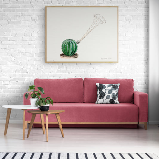 Easter Lily Cactus from Familie Der Cacteen