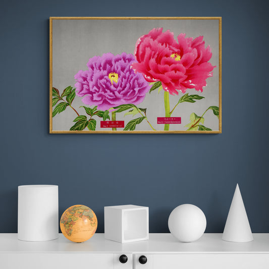 The Picture Book Of Peonies - Pink & Purple Peonies