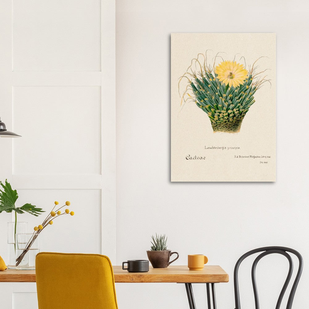 Agave Cactus from Familie Der Cacteen