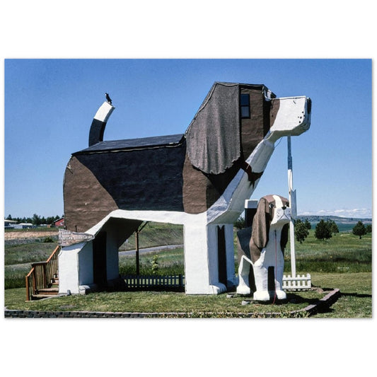 Dog Bark Park Bed & Breakfast , Idaho by John Margolies