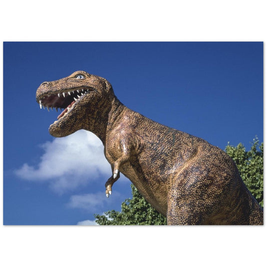 Dinosaur Magic Carpet Golf , Florida by John Margolies