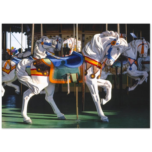 Carousel Horse , New Jersey by John Margolies