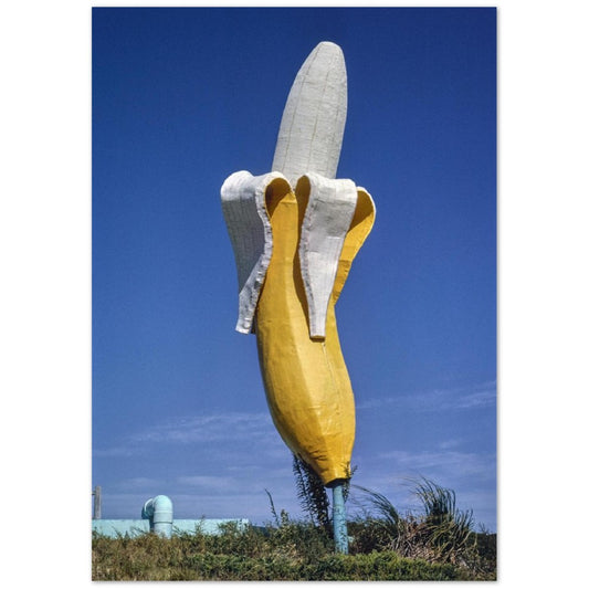 Banana Water Slide Statue , Virginia by John Margolies